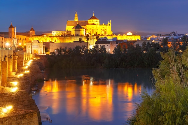 Noche Mezquita y puente romano en Córdoba España