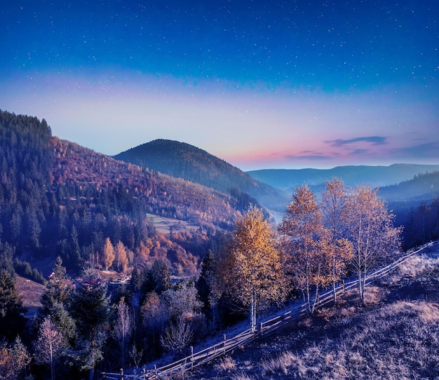 Noche en las montañas de otoño Cielo estrellado árboles frondosos amarillos y niebla