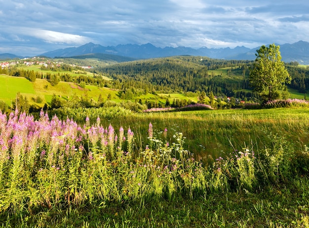 Noche de verano en las afueras de la aldea de montaña con flores rosadas en la parte delantera y detrás de la gama de Tatra