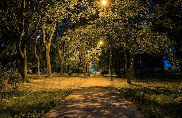 Noche de verano parque de la ciudad bancos de madera luces de calle y verde