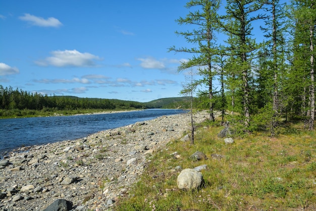 Nördlicher Taiga-Fluss im Polarural