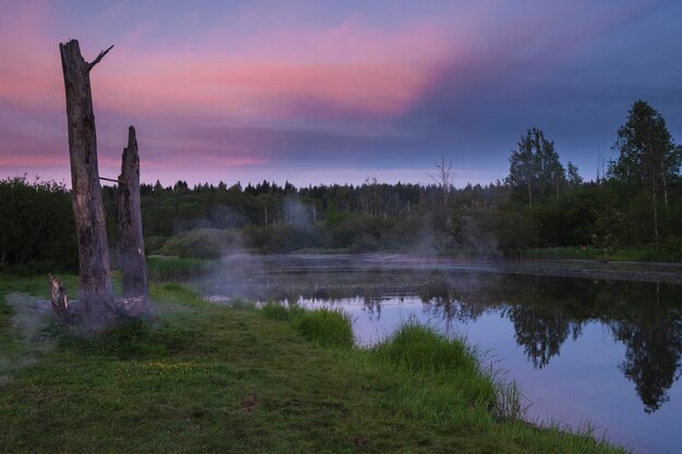 Noite bonita paisagem, pôr do sol em um parque florestal no lago no verão