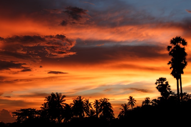 Noite céu pôr do sol