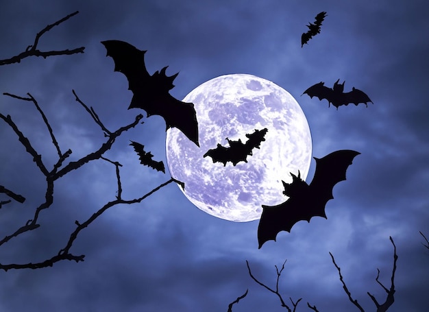 Foto noite de halloween lua assustadora no céu nublado com morcegos
