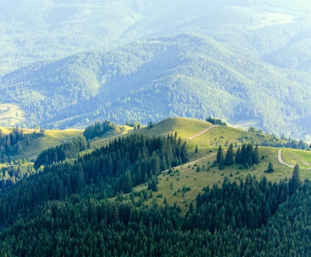 Noite de verão enevoada paisagem montanhosa com floresta de abetos na frente