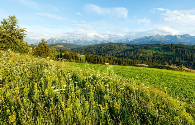 Noite de verão nos arredores de uma vila nas montanhas com campos floridos e a cordilheira de Tatra atrás