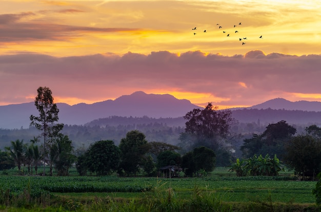 À noite, o céu dourado, vista para a montanha em Chiang Mai Tailândia