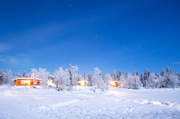 Noite paisagem de inverno