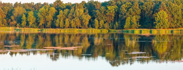 À noite, verão a paisagem do panorama do lago com belas árvores reflexos na superfície da água (perto do assentamento de Shklo, Oblast de Lviv, Ucrânia).