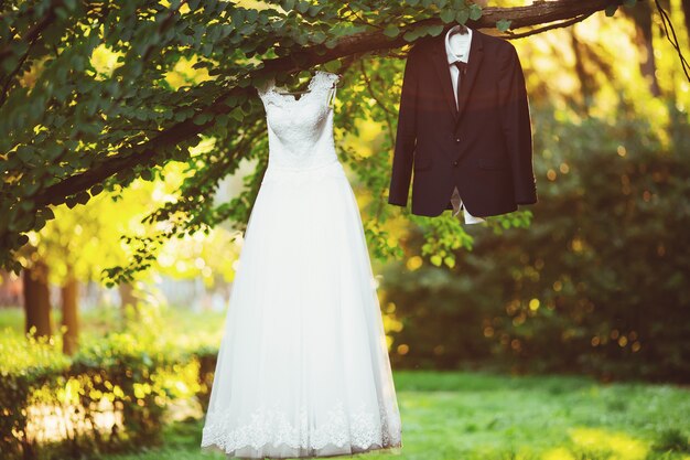 Noiva de traje de vestido de casamento para o noivo em uma árvore no parque