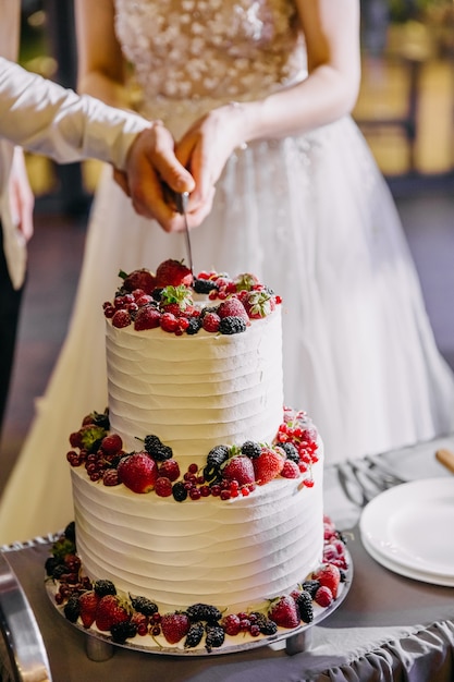 Noiva e noivo cortando bolo de casamento