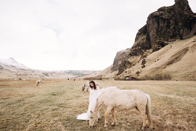 Noiva em um vestido branco em um campo com cavalos, destino, Islândia, sessão de fotos de casamento com