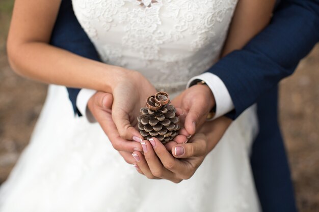 Noivo abraça a noiva em uma floresta de pinheiros, as mãos segurando um caroço
