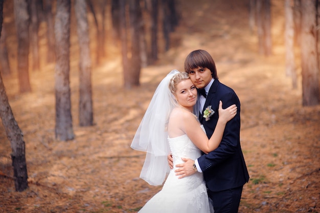 Noivo da noiva em um casamento uma caminhada na floresta de outono