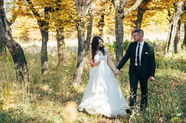 Noivos felizes e apaixonados caminham pelo parque de outono no dia do casamento