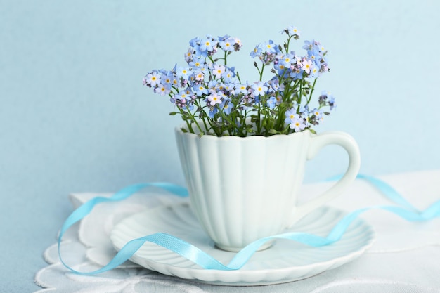Nomeolvides flores en taza, sobre fondo azul.