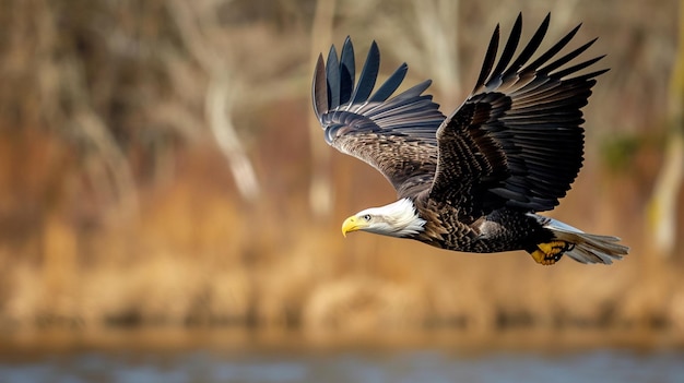 Nordamerikanischer Glatze Adler inmitten des Fluges auf der Jagd Generative Ai