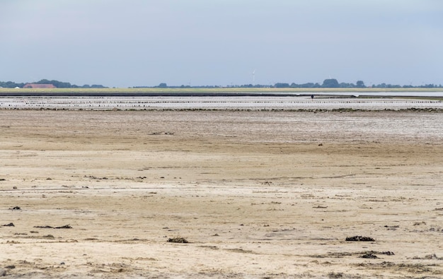 Norddeich en el este de Frisia