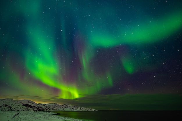 Nordlichter (Aurora borealis) am Himmel über der Barentssee