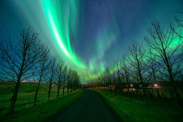 Nordlichter (Aurora Borealis) in Island