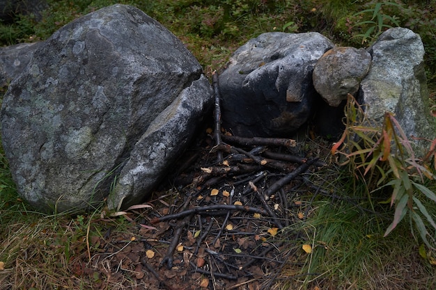 Nordwald schöne erstaunliche Natur