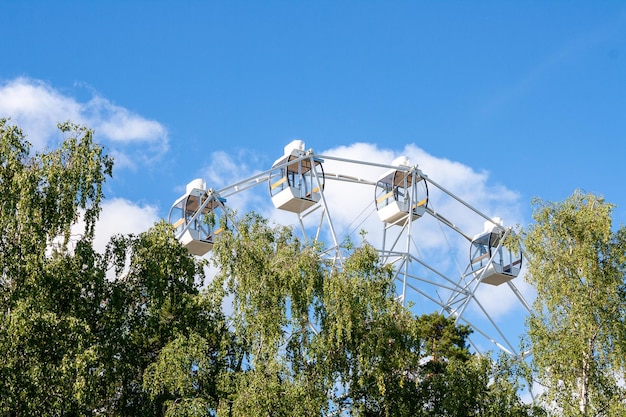 Noria sobre las copas de los árboles en el parque