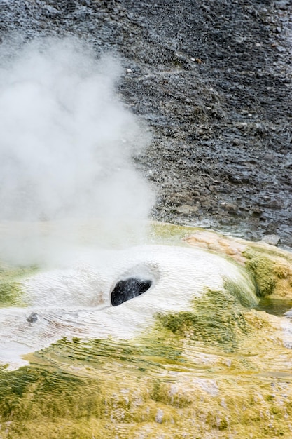 Norris Geyser Basin im Yellowstone-Nationalpark