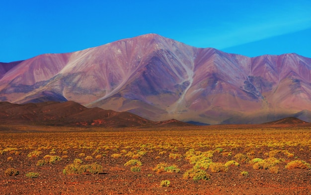 norte argentino