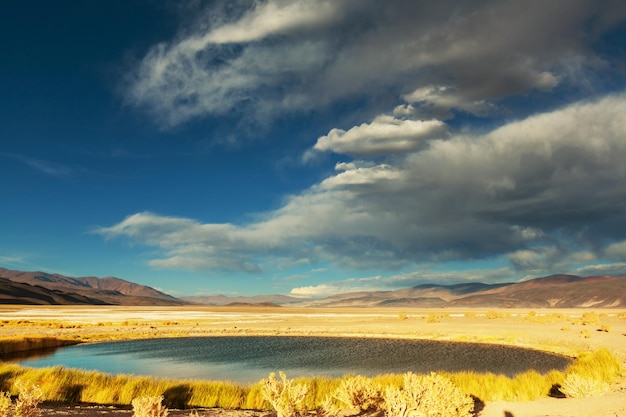 norte argentino