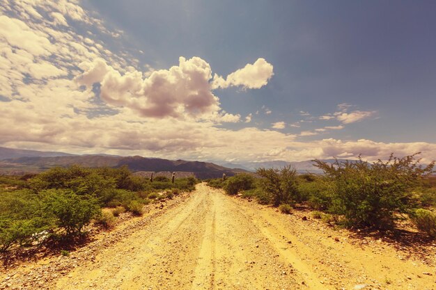 norte argentino