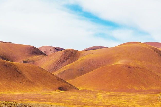 norte argentino