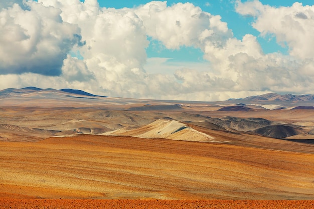 norte argentino