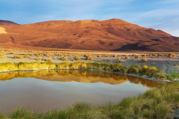 norte argentino