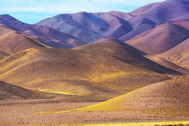 Norte da Argentina