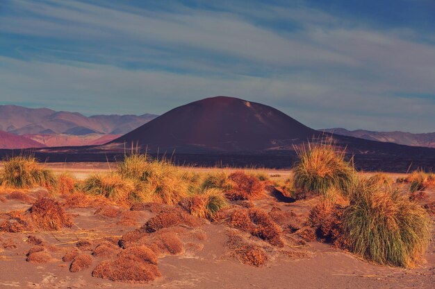 Norte da Argentina