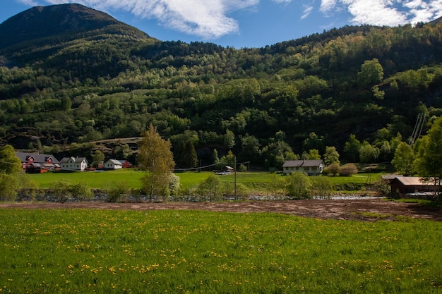 Foto noruega naturaleza prado y colinas montañas