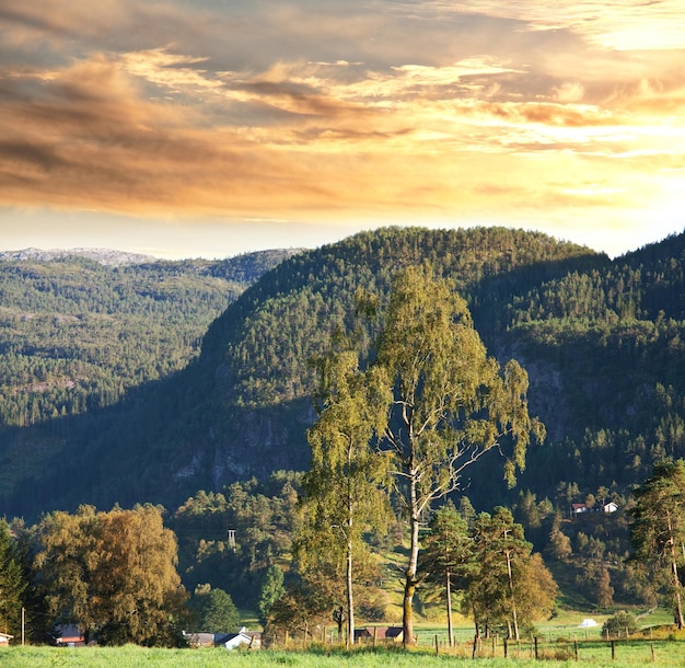 Noruega paisajes