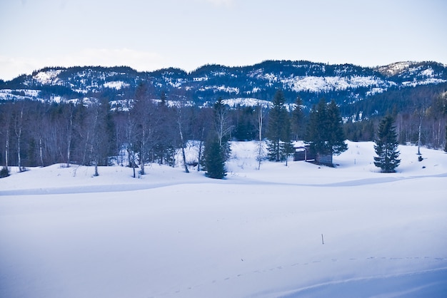 Norwegen Schnee Landschaften Wald Berge