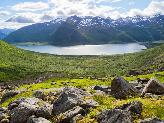 Norwegische Landschaft mit grünem Tal zwischen Bergen mit Schneespitzen.