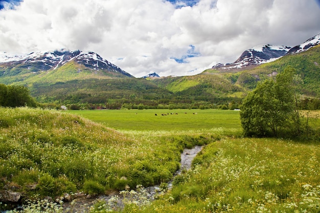 Foto norwegische sommerlandschaft