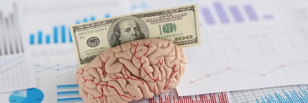Nota de banco se encaixa em modelo anatômico de miniatura de cérebro humano colocada em papéis comerciais