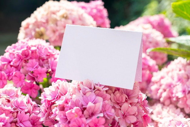 Nota de papel em branco com espaço de cópia sobre lindas flores de hortênsia rosa Maquete feminina