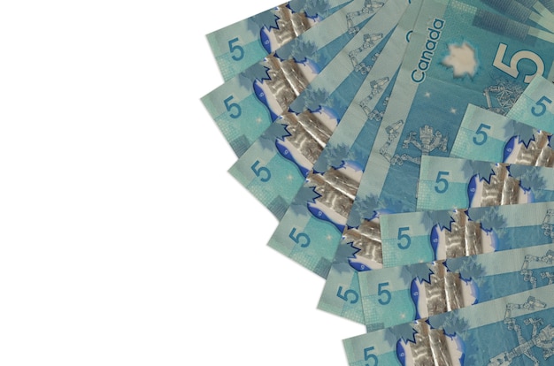 Notas de dólar canadense em um fundo branco