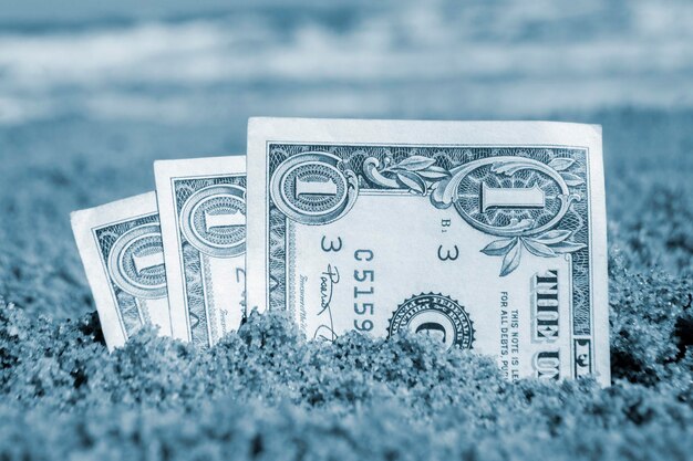 Notas de papel um dólar enterrado na areia na praia contra o pano de fundo do mar