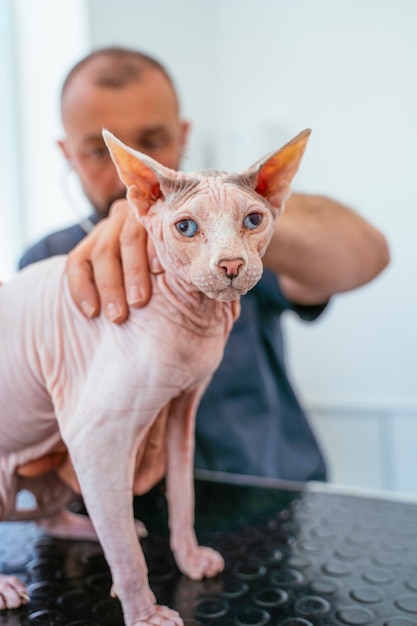 Notfall-Tierklinik. Schnelle Diagnose eines Krankheitssymptoms für Ihr Haustier.