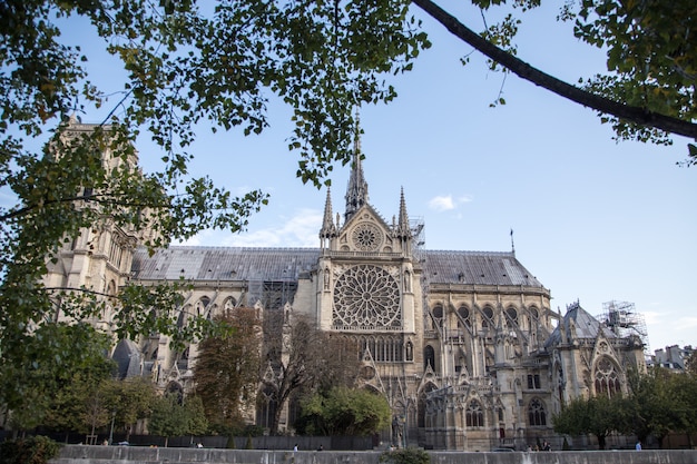 Notre Dame de Paris Cathedral.Paris. França