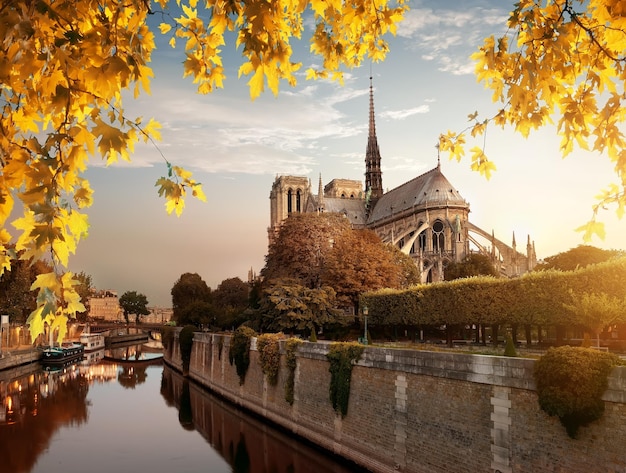 Notre Dame e parque no rio Sena em Paris, França