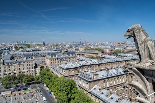 Notre dame gorgoyle vista de paris