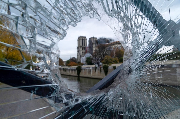 Notre dame paris bajo detalle de restauración