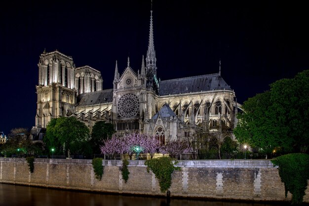 Foto notre dame paris nachtansicht